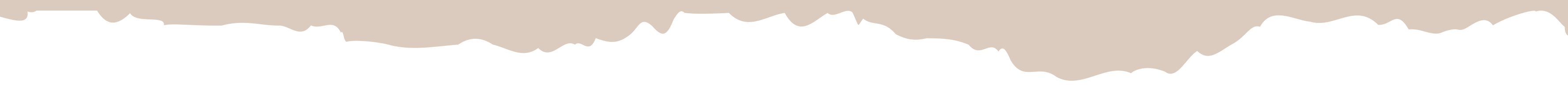 Beese-&-Seeds_13