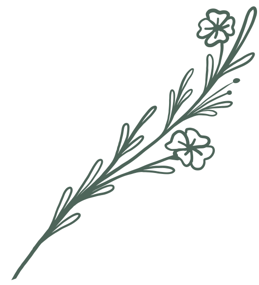 Beese-&-Seeds_15