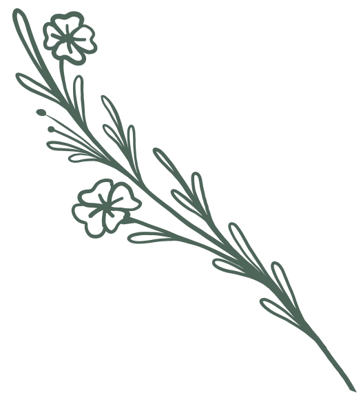 Beese-&-Seeds_17